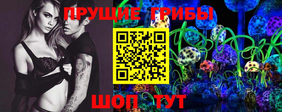Псилоцибиновые грибы Psilocybe Мичуринск